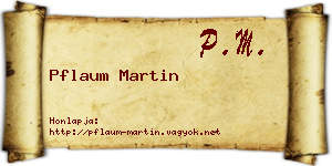 Pflaum Martin névjegykártya